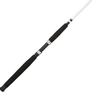 Spinning Fishing Rod