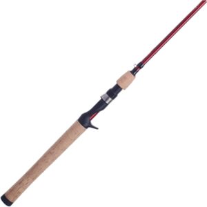 Casting Fishing Rods