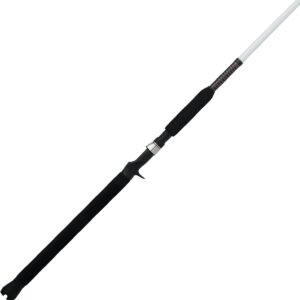 Catfish Spinning Fishing Rods (All Models)
