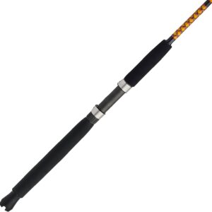 Casting Fishing Rod